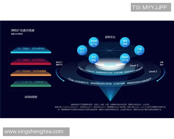 以互联网为驱动的智能时代：探索数字化转型与创新发展的新机遇与挑战