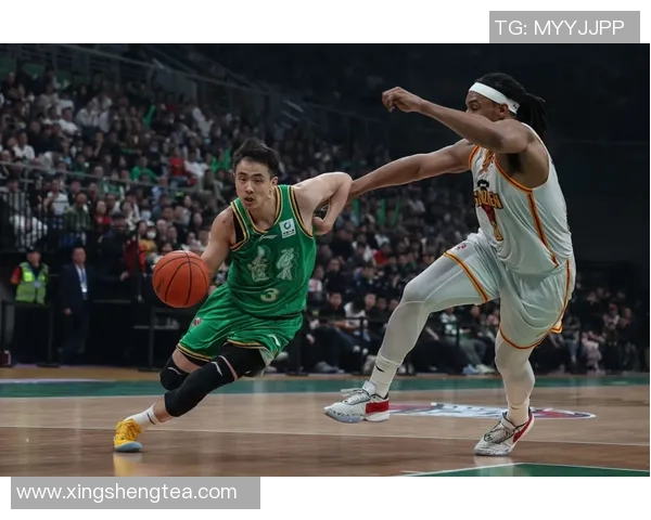 南京羽毛球队防守革新之路：从传统到现代的转型与突破