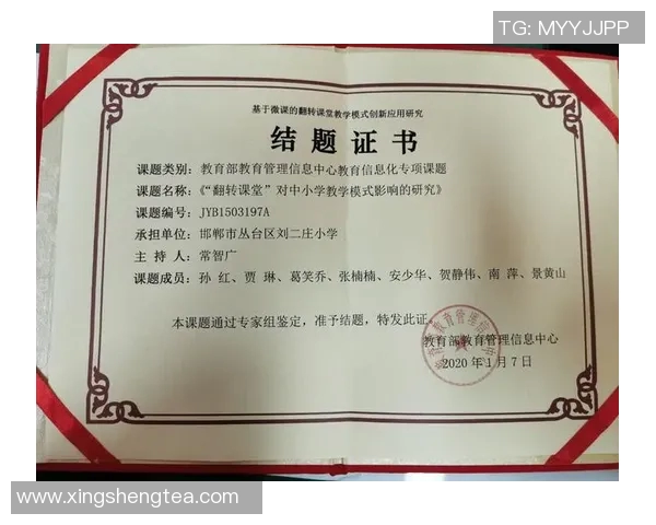 对话杨芳：回顾王者荣耀职业生涯与未来发展展望