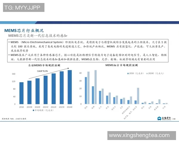 广州极限运动队现状分析与未来发展展望的深度探讨