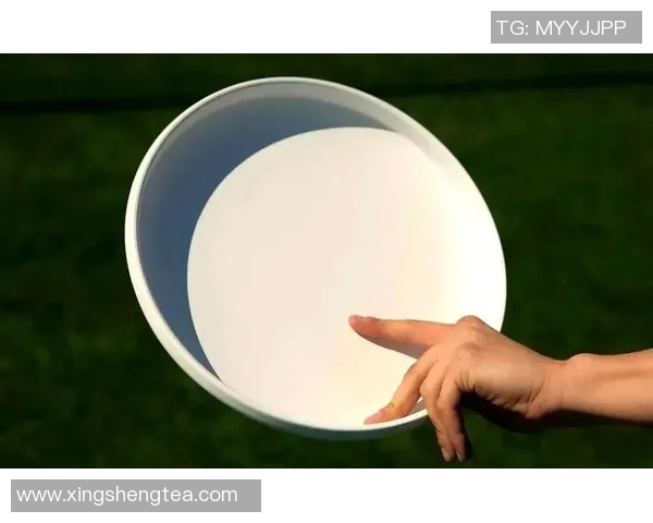 李强独家分享飞盘技巧与心得体会助你提升飞盘水平的秘诀