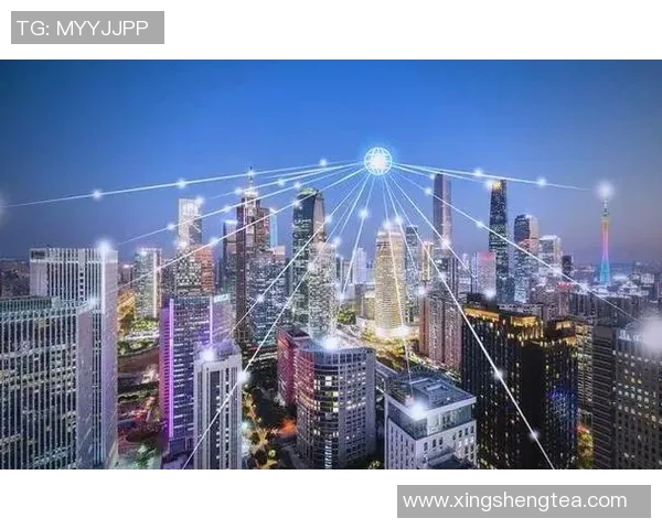 房地产开发行业趋势与挑战分析及未来发展方向探讨