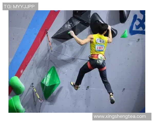 杭州攀岩队在世界攀岩锦标赛中的技术表现分析与点评