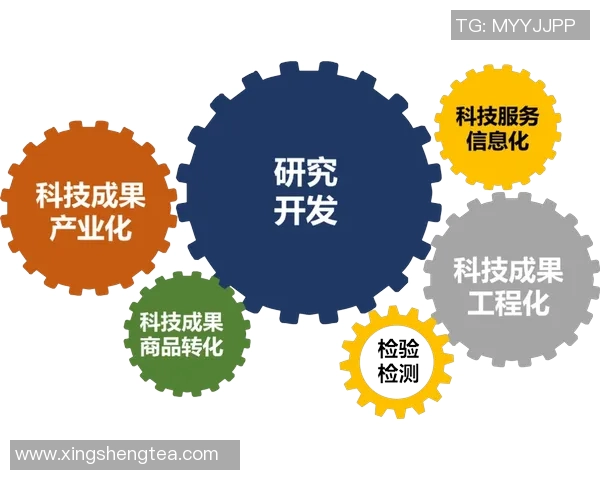 推动政策创新与社会发展融合深化探索新路径