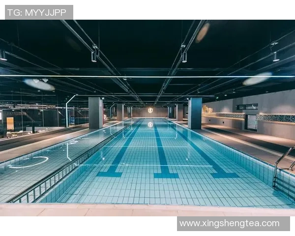 激情碰撞泳池边，畅游世界游泳争霸赛全程精彩回顾