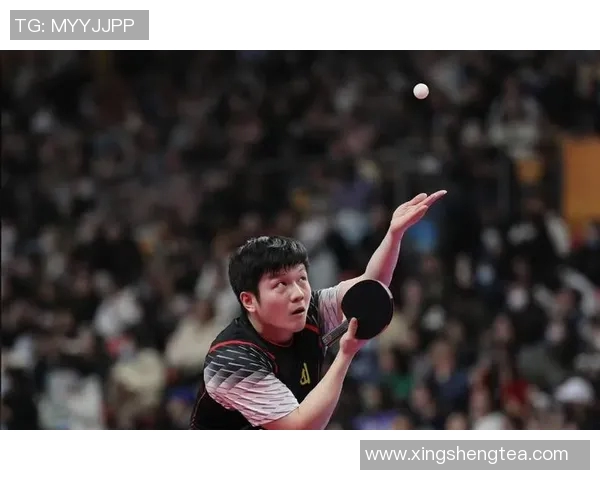 乒乓球热议聚焦北京乒乓球队意识争议引发的多方观点碰撞与思考