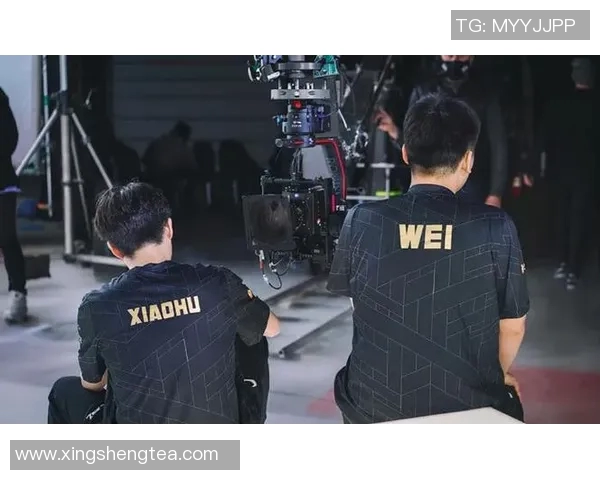 全球挑战赛分析：RNG展现出卓越的战术灵活性与团队协作能力