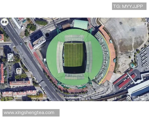 葡萄牙足球超级联赛精彩赛季回顾与未来发展展望