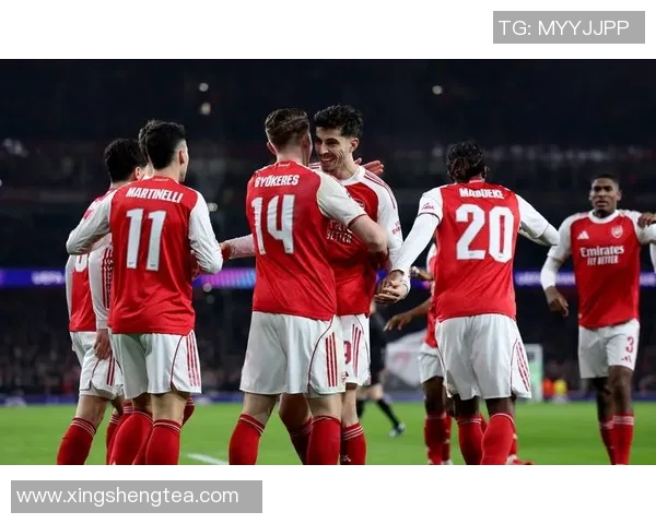 足球直播欧冠：如何观看欧冠比赛的实时足球直播