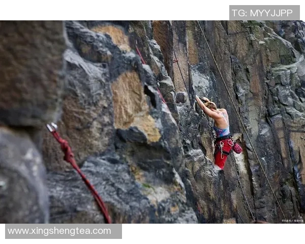 上海攀岩队创新包夹技术助力运动员突破极限挑战
