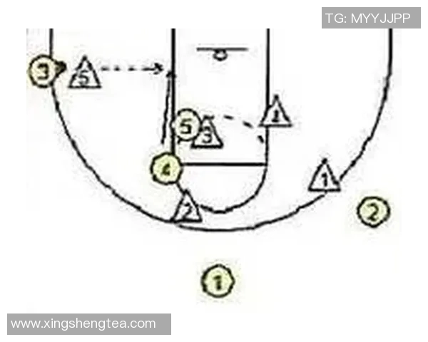 从零起步掌握篮球节奏技巧与战术全解析助你成为场上明星