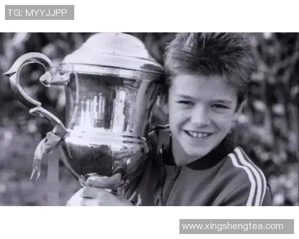 足球名将的传奇人生与赛场背后的奋斗历程揭秘