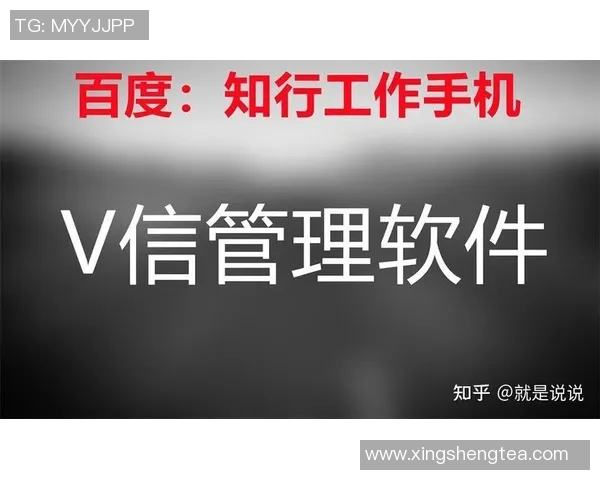 泳池维护全攻略：从水质管理到设备保养的全面指南