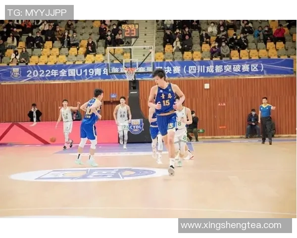 青岛国信俱乐部在CBA与足球中地位分析