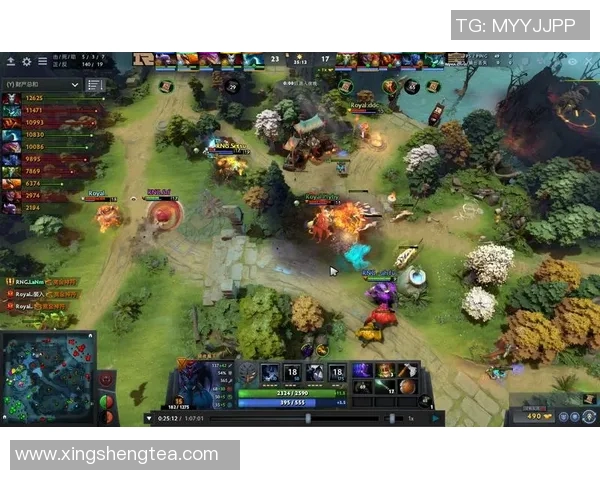 DOTA2盛宴：深入解析RNG战队的耐力与团队协作之道