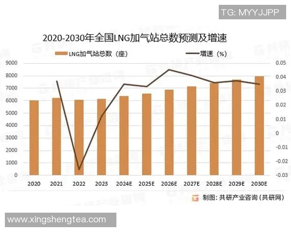 LNG战队近期表现分析与未来发展方向探讨