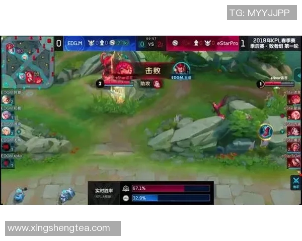 EDG在王者荣耀中的盯防策略分析与成败得失探讨